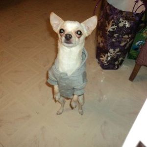 Meet your Posher, Sean